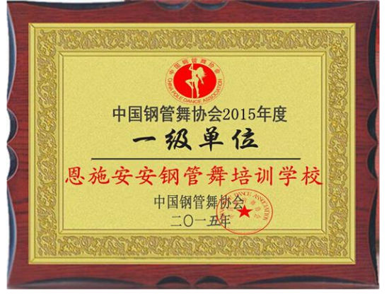 安钢管舞培训成为中国钢管舞协会理事会员单位