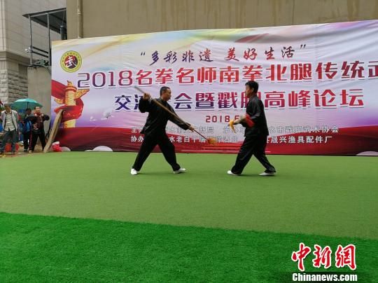 南拳北腿名拳名师河北衡水展演 展示传统体育