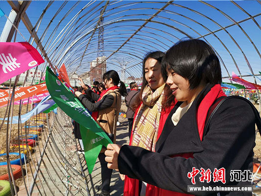 中国北方首届春分节在河北曹妃甸举办。 白云水 摄