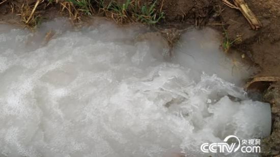 3月20日，闵镇村村民浇麦时井内流出的“牛奶水”。