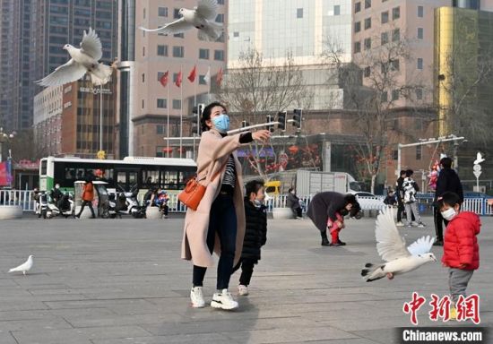 3月4日，河北石家庄，家长和孩子在广场上与鸽子嬉戏。中新社记者 翟羽佳 摄