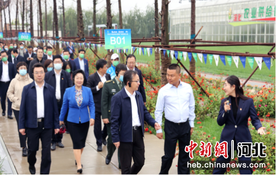 沧州市委副书记、市长向辉一行到运河区观摩。王韬 摄