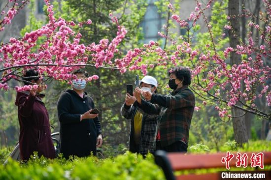 在河北唐山，人们走出家门，在公园里赏花拍照。　赵亮 摄
