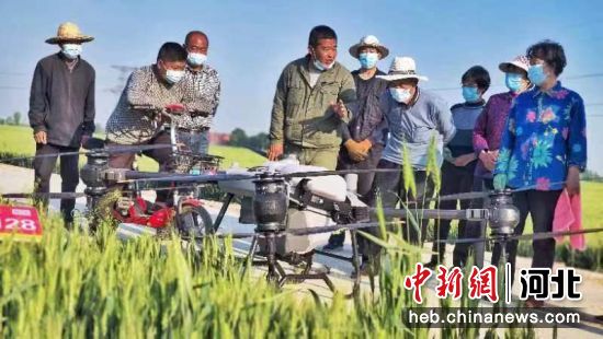 石家庄市无极县农技人员向农户介绍植保无人机操作。 韩琳