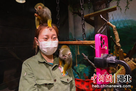图为在河北省邯郸市一萌宠科普乐园内，饲养员正在给动物们喂食。 陈征 摄
