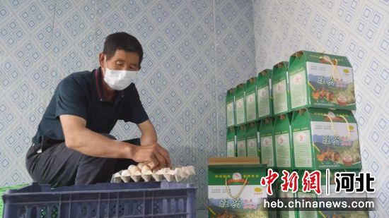 农民在迁西县渔户寨乡高窝子村种养殖一体化的绿色生态产业基地里包装鸡蛋。 作者 韩江平