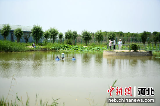 图为在河北省廊坊市安次区京首福家庭农场，游客正在享受休闲时光。 作者 杨佳琳