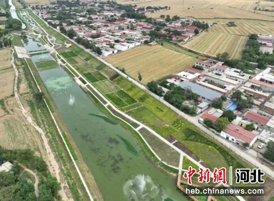 河北省石家庄市赵县�┖由�态湿地。 朱涛 摄