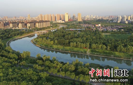 7月19日，市民在河北省遵化市城区健身休闲，周边绿意盎然。 刘满仓 摄