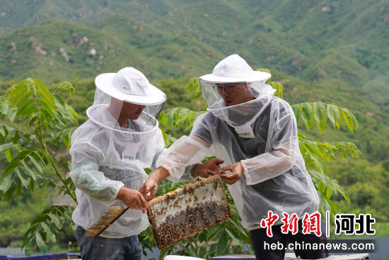 胡建怡(右)传授蜂农养蜂技巧。 刘杨 摄