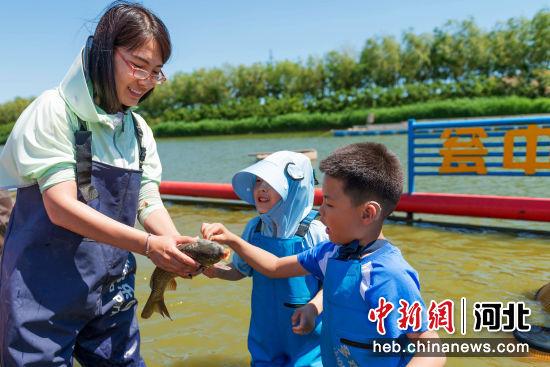 游客畅玩瓮中捉鱼项目。 王川 摄