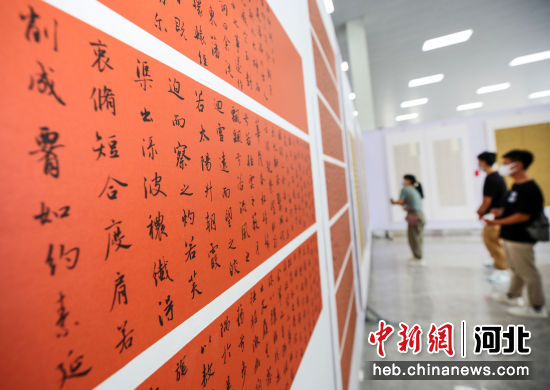 在河北省首届书法临帖展中，游客正在参观展出的书法作品。 李超 摄
