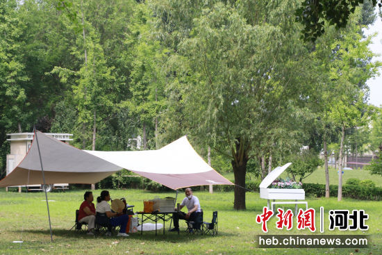 图为永清县林栖谷森林温泉度假区内，游客在消夏游玩。 刘欣羽 摄