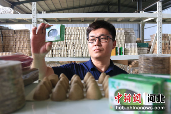 图为馆陶县一家艾产业工厂内质检员在抽检批量加工的艾产品。 郭江鹏 摄 