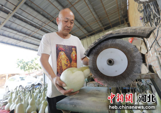 图为在固安县宫村镇富农葫芦园加工车间，种植户魏杰对葫芦进行磨皮。 门丛硕