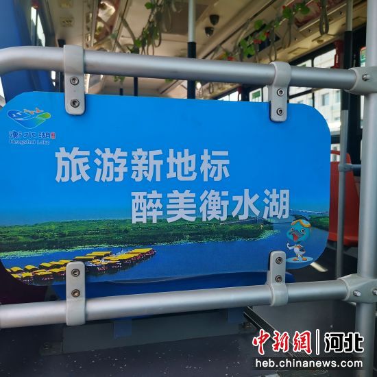 “衡水湖號”公交車內標語。 供圖