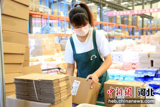 在河北省邢台市南和区一家宠物食品电商企业，员工在打包发货。 武国栋 摄