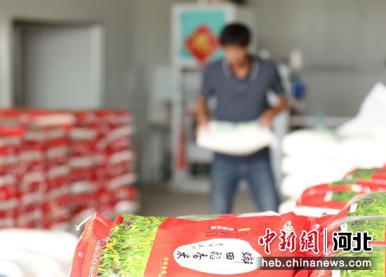 图为农民在河北沧县南堤农业合作社农产品加工车间工作。 作者 田博