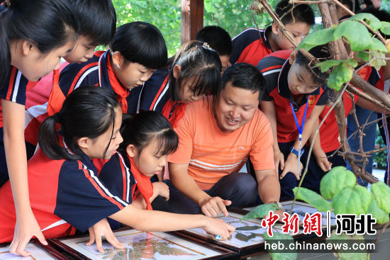 沧州市育红小学的学生在植物专家高文彬指导下观察植物标本。 作者 王学义