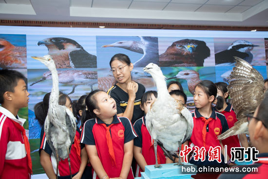 沧州市育红小学邀请鸟类研究专家李末讲解鸟类�；ぶ�识。 作者 王学义