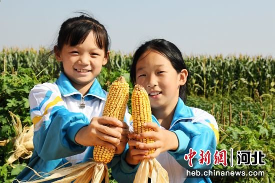 图为广平县胜营镇中心小学劳动课上学生展示自己掰的玉米。 作者 程学虎