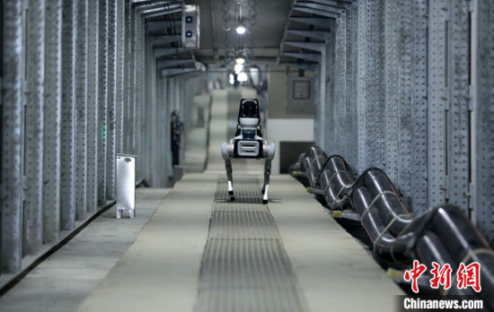 图为9月27日，雄安新区的雄东―昝西220千伏线路工程隧道里，足式机器人“机械狗”正在进行测试。 中新社发 董鹏 摄