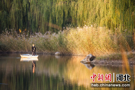 图为廊坊市广阳区丹凤公园，工作人员在湖上作业。 付瑞琪 摄 