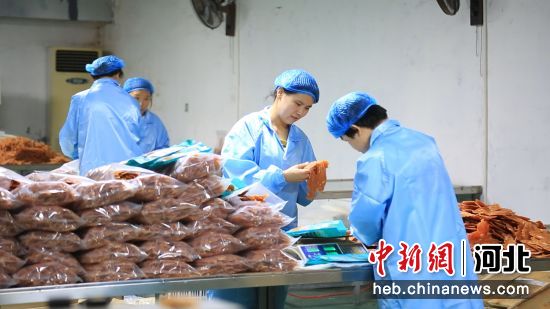 在河北省邢台市南和区三思镇的一家宠物食品企业内，工作人员在将宠物零食装袋。 作者 武国栋