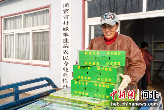 在河北省南宫市北胡办小关村农民正在搬运黄韭盆景。 田威