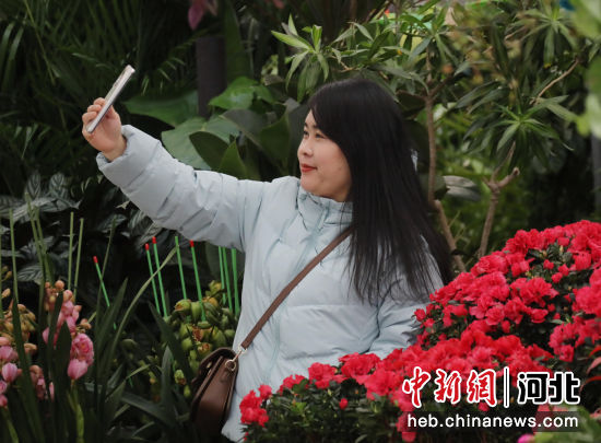 图为在固安县花卉市场内，一名顾客正在花卉前拍照。 张思琪