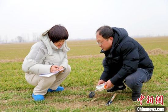 3月4日，农业技术人员正在利用土壤水分仪测量土壤含水量。靳东凯 摄