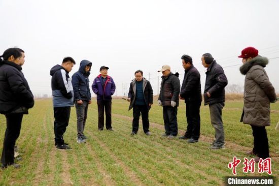 3月4日，农业技术人员为农户讲解小麦返青期管理技术要点。靳东凯 摄