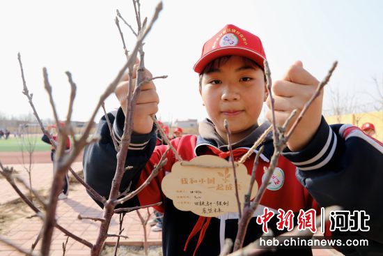 图为学生给自己栽种的树苗挂上了制作的心愿卡。刘巨雷 摄