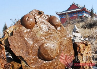 中国新闻网·河北新闻--山东蒙阴挖出神秘奇石