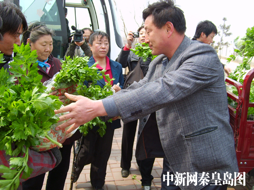 秦皇岛东环路组织残疾人参观蔬菜种植基地(图