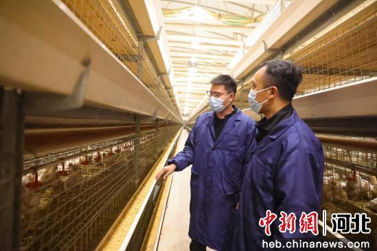 河北定兴：畜牧养殖拓宽群众致富路